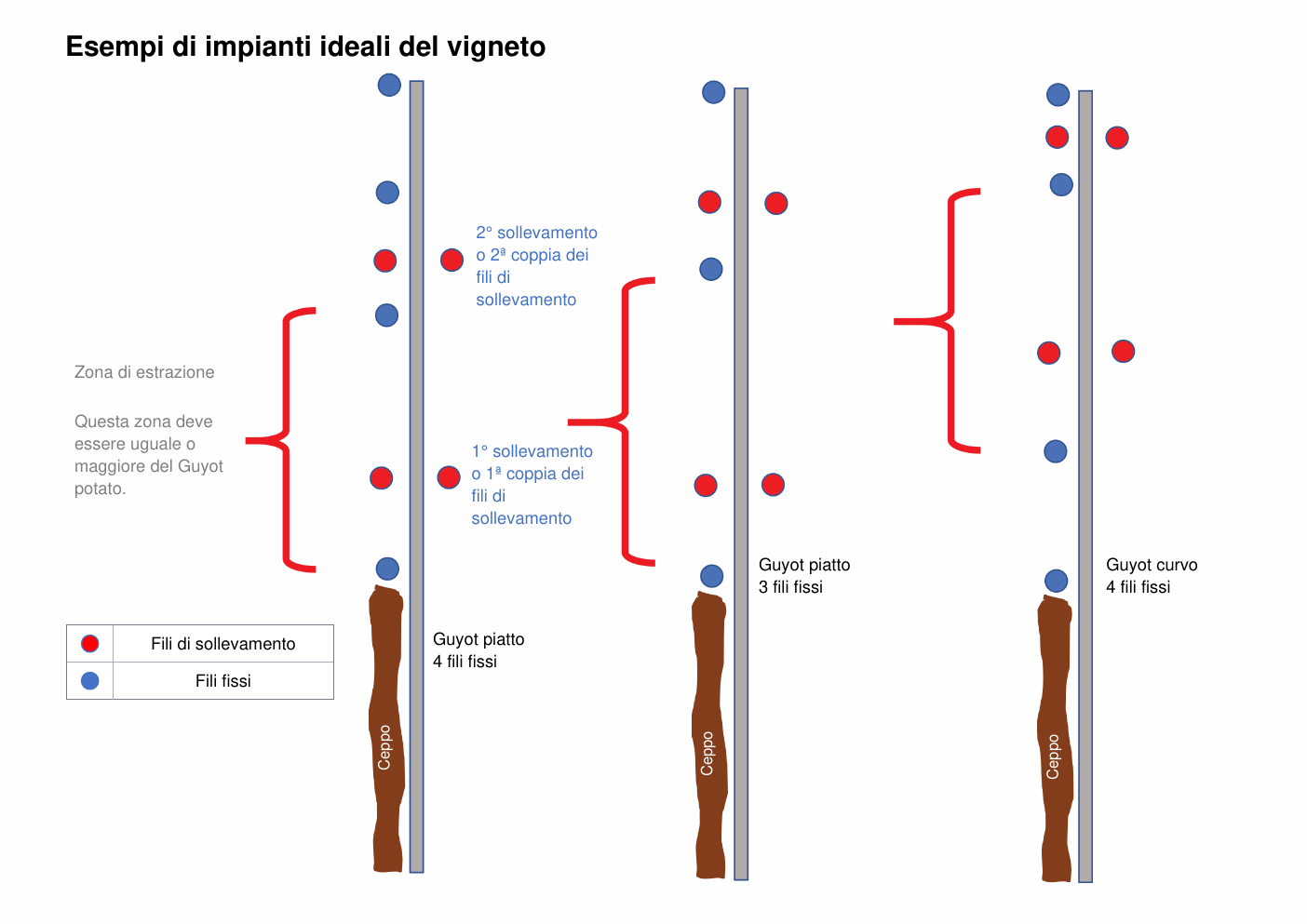 VSE 430 — Esempi di impianti ideali del vigneto