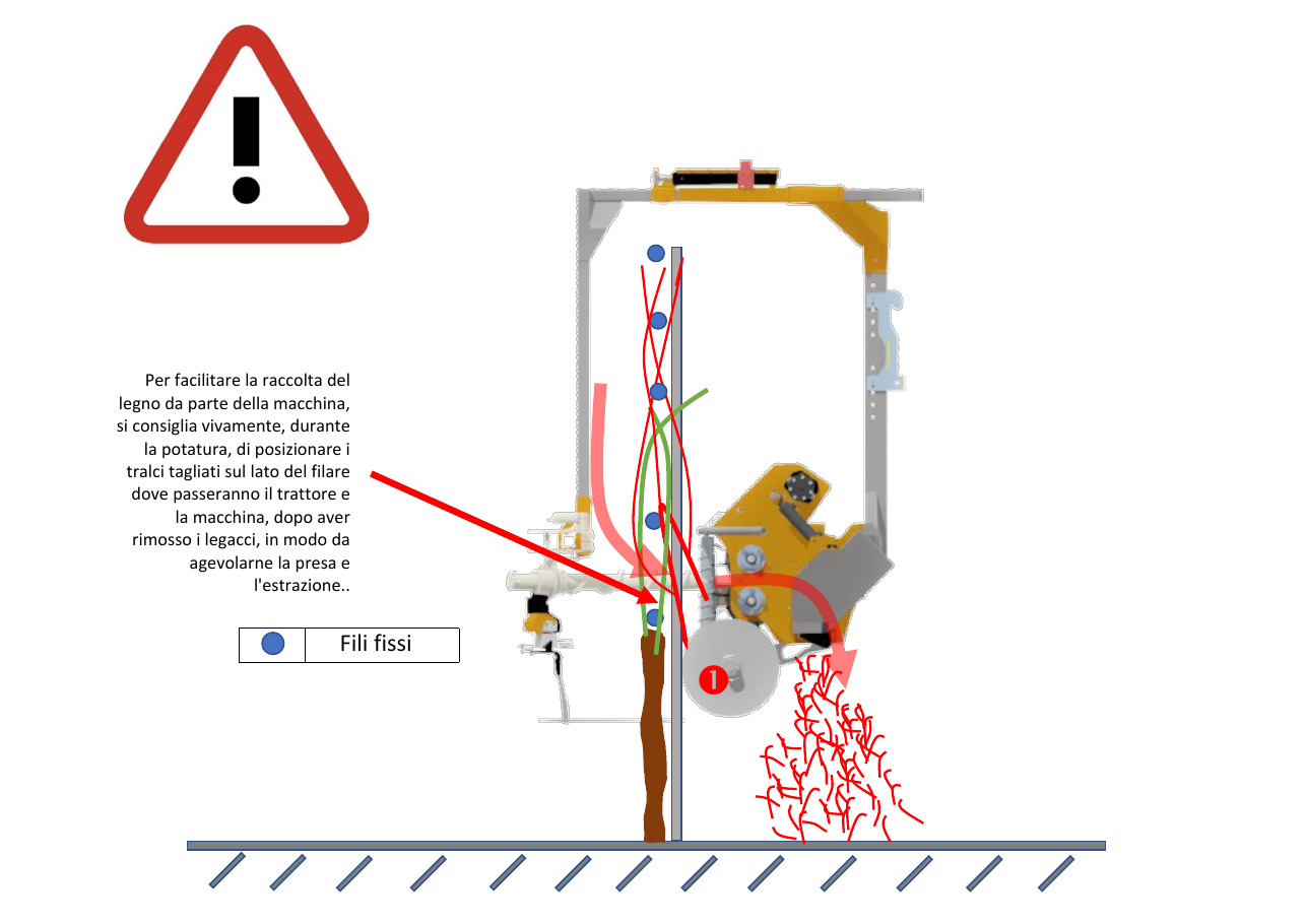Posizionamento dei tralci sul lato di estrazione della VSE 230