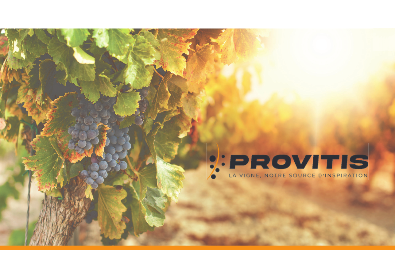 Copertina della guida PROVITIS VSE 230